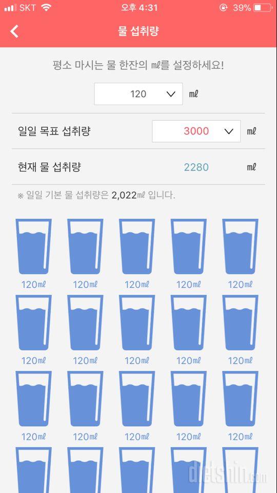 30일 하루 2L 물마시기 5일차 성공!