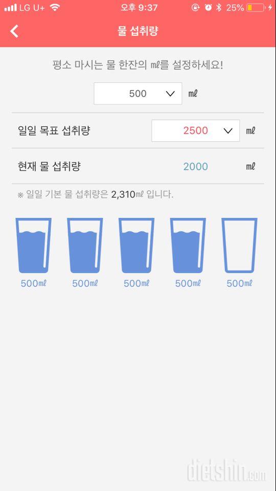 30일 하루 2L 물마시기 5일차 성공!