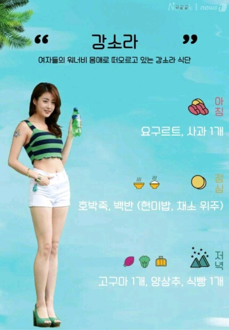 연예인 다이어트 식단