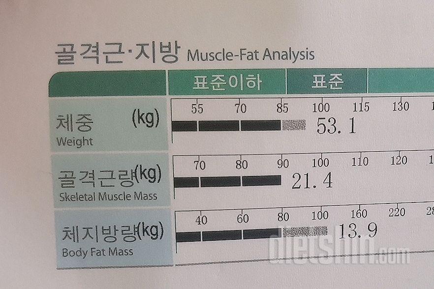 인바디 변화