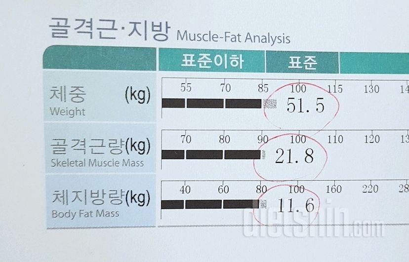 인바디 변화