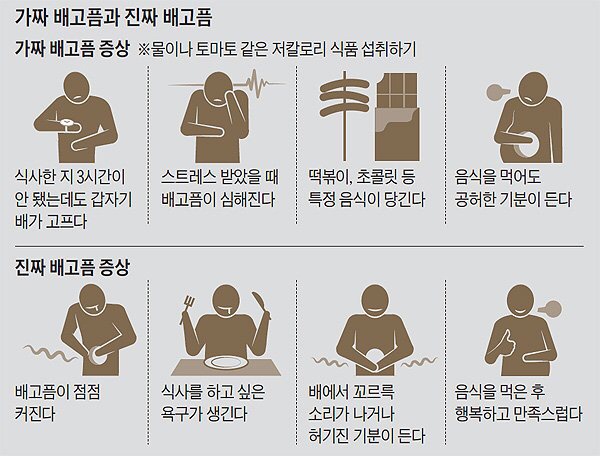 가짜배고픔vs진짜배고픔