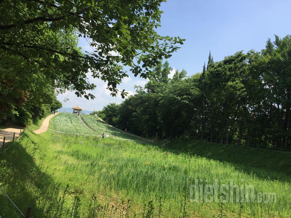 530 점심 후 산책