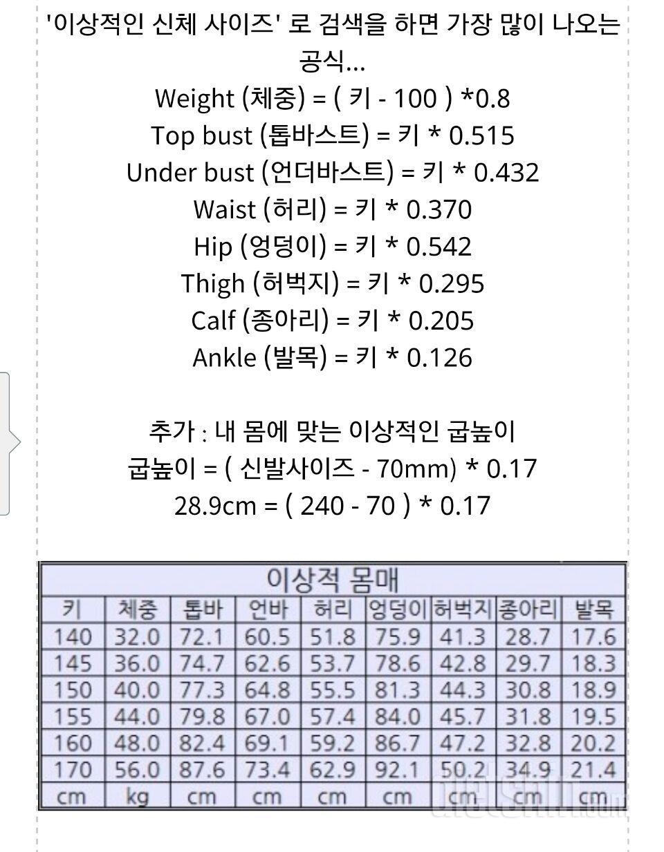 표준 몸무게, 신체사이즈가 궁금?