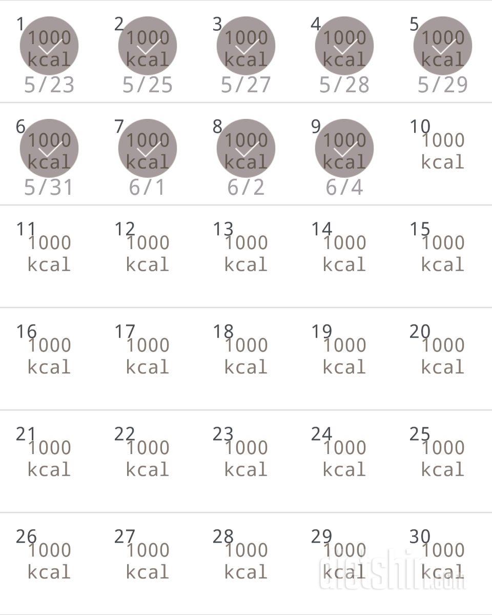 30일 1,000kcal 식단 9일차 성공!