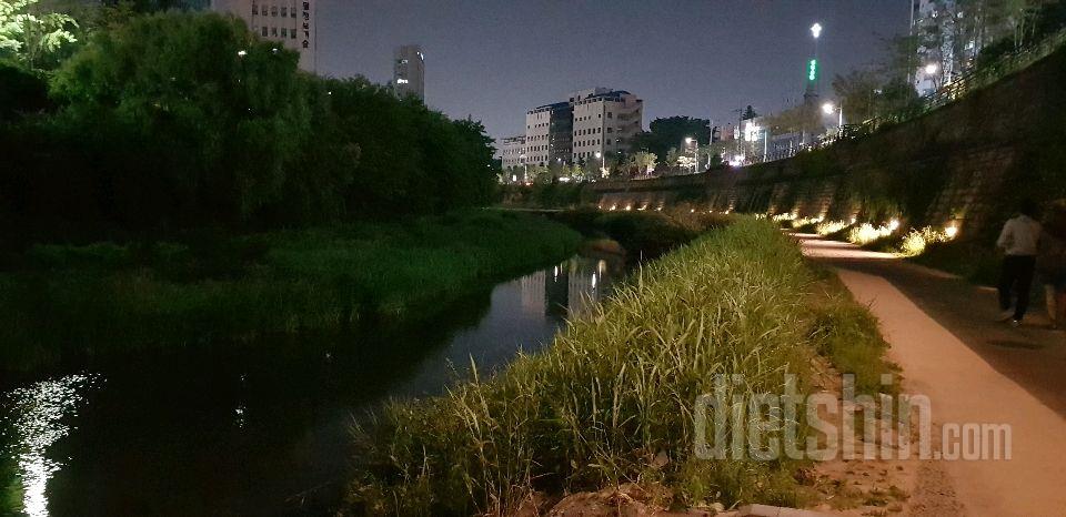 10km 걷기 4/5 지점통과