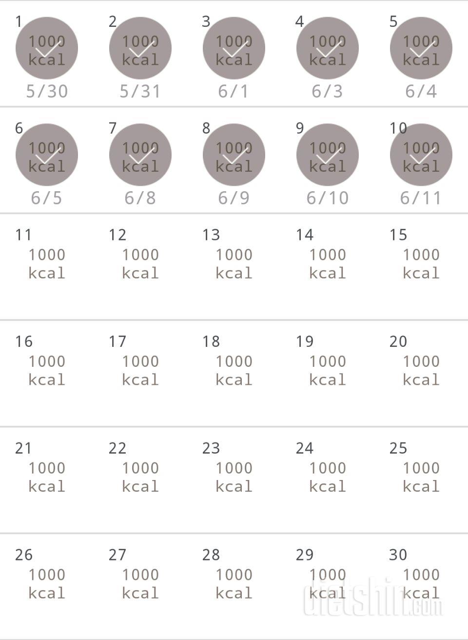 30일 1,000kcal 식단 10일차 성공!