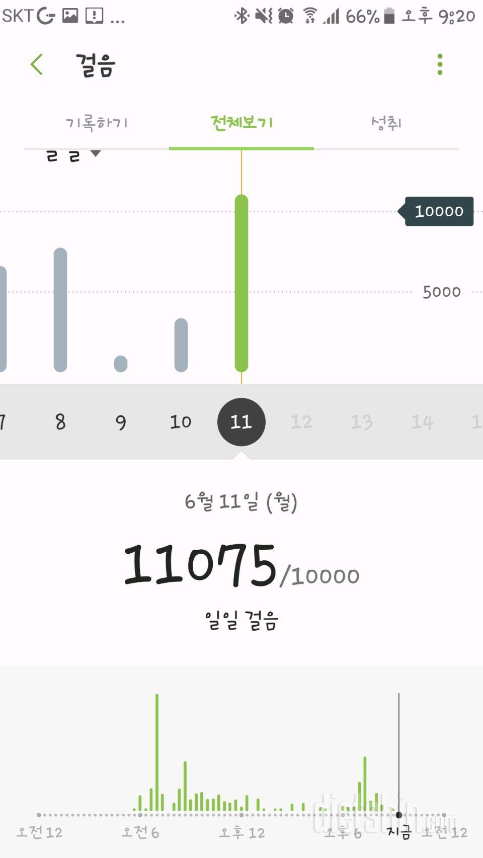 30일 만보 걷기 10일차 성공!