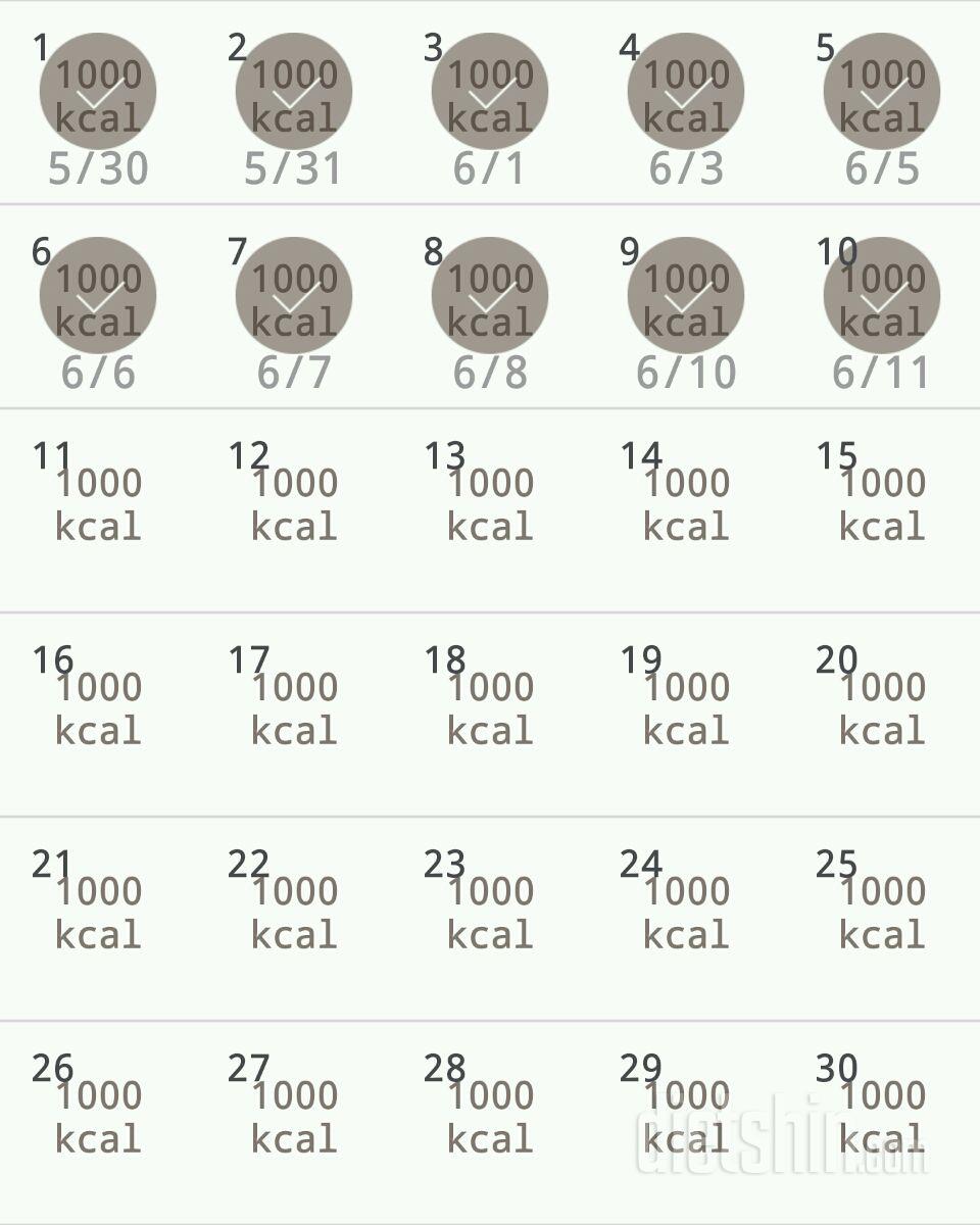 30일 1,000kcal 식단 10일차 성공!