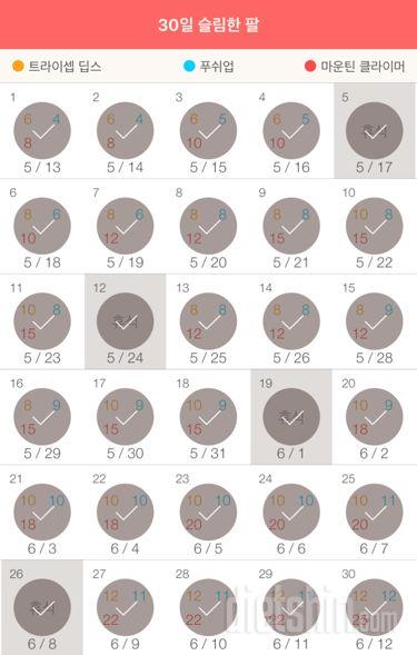 30일 슬림한 팔 60일차 성공!