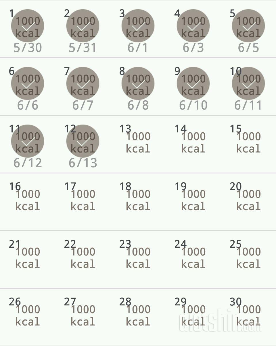 30일 1,000kcal 식단 12일차 성공!