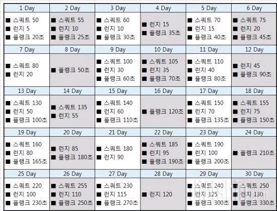 30일운동 ㅡ근력운동이여