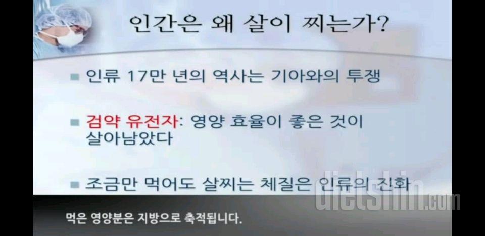 다이어트에 대한 객관적인...