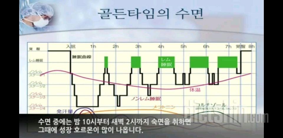 다이어트에 대한 객관적인...