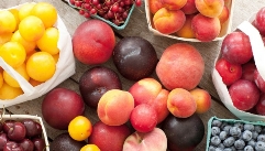 다이어터가 즐길만한 여름 과일은?