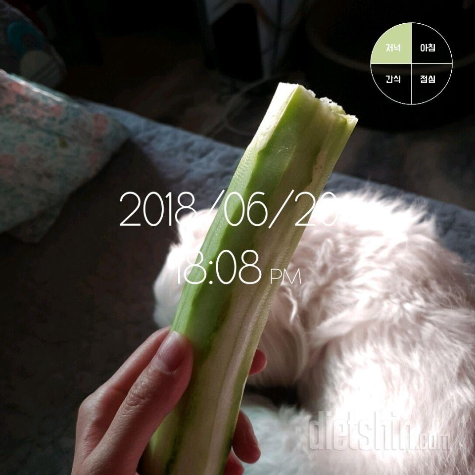 :)♡2018.06.20 하루식단