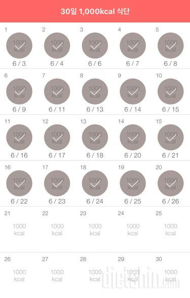 30일 1,000kcal 식단 20일차 성공!