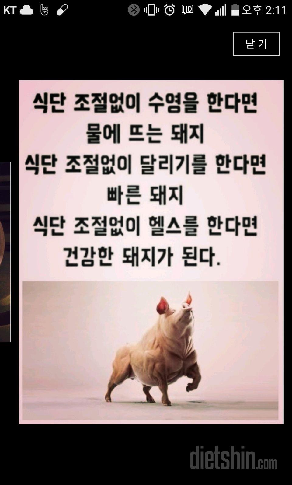 힘내세요ㅡ13일까지 홧팅