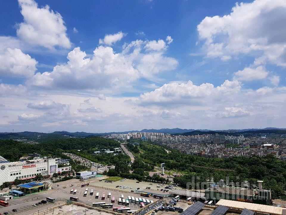 7.4 산책하기 좋은날씨^-^(일하는중)