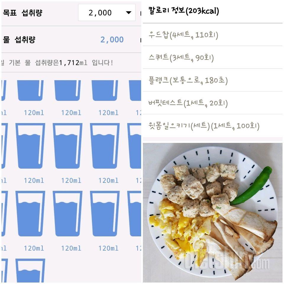 [핫바디반 -17일차 미션 완료]