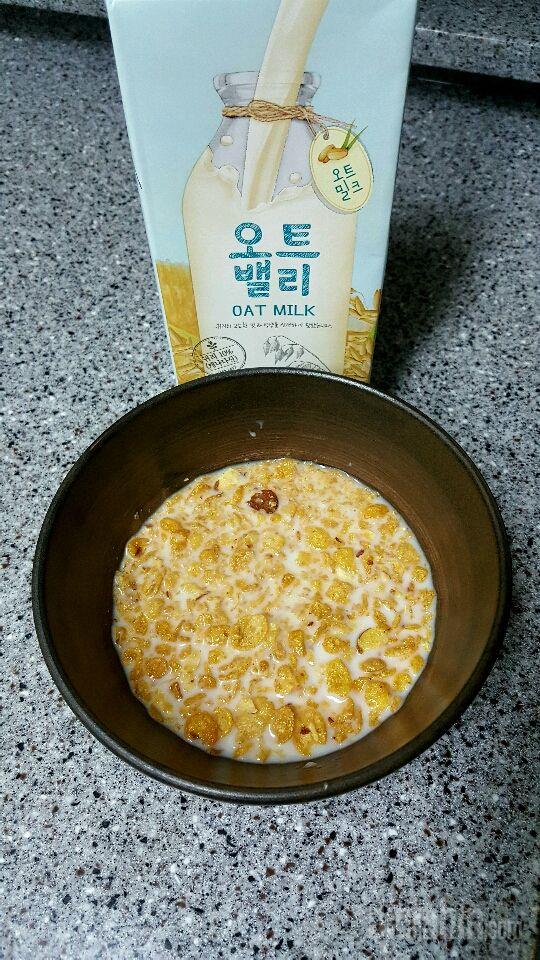 맛있는 귀리우유를 시리얼이랑 같이 먹어보았어요~