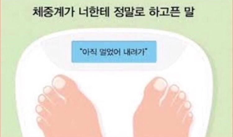 체중계