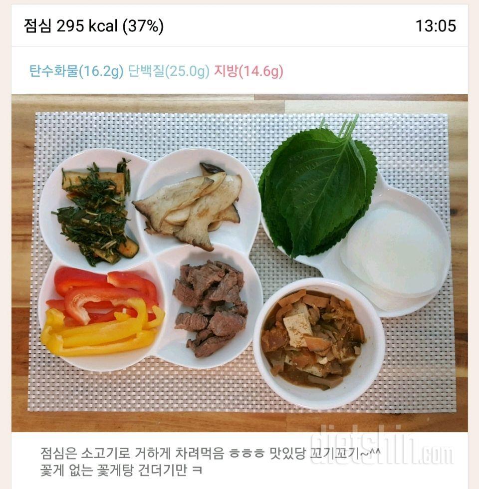 [다신 11기 필수미션] 식단&운동 24일차~♡