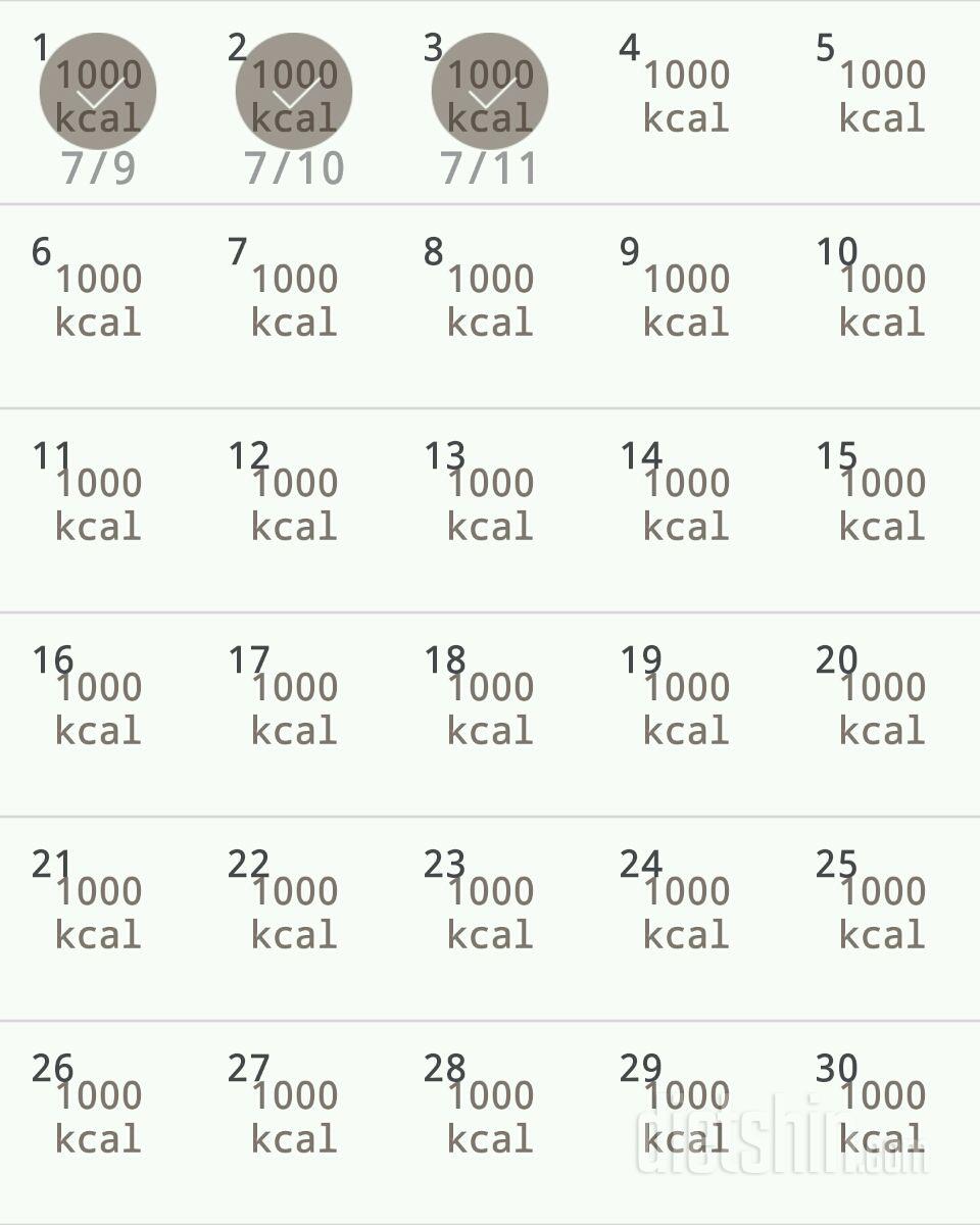 30일 1,000kcal 식단 33일차 성공!