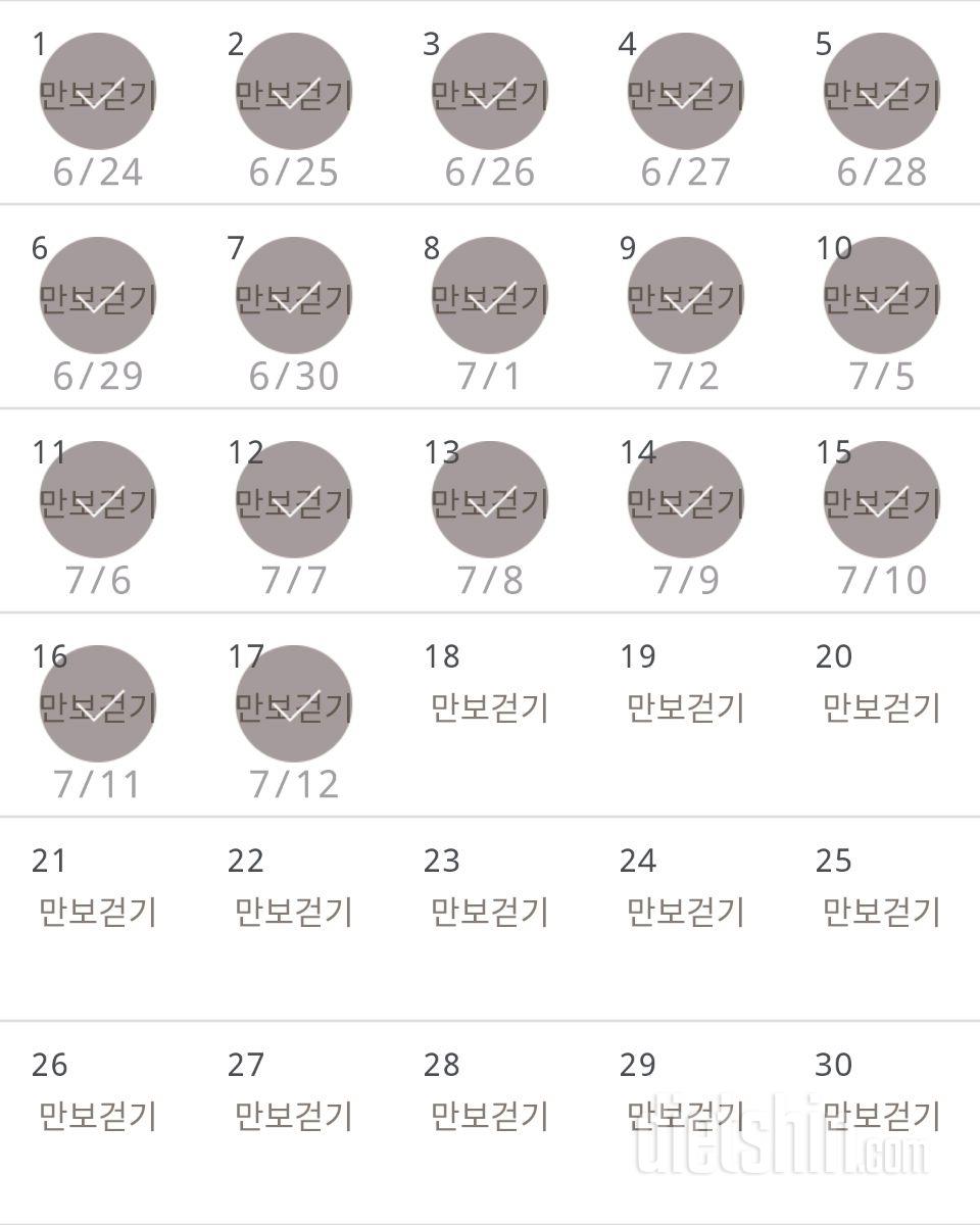 30일 만보 걷기 17일차 성공!