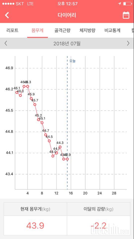 7/15 다이어트 정체기