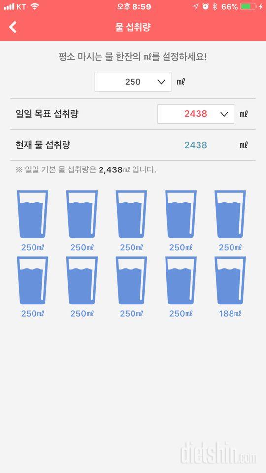 30일 하루 2L 물마시기 11일차 성공!