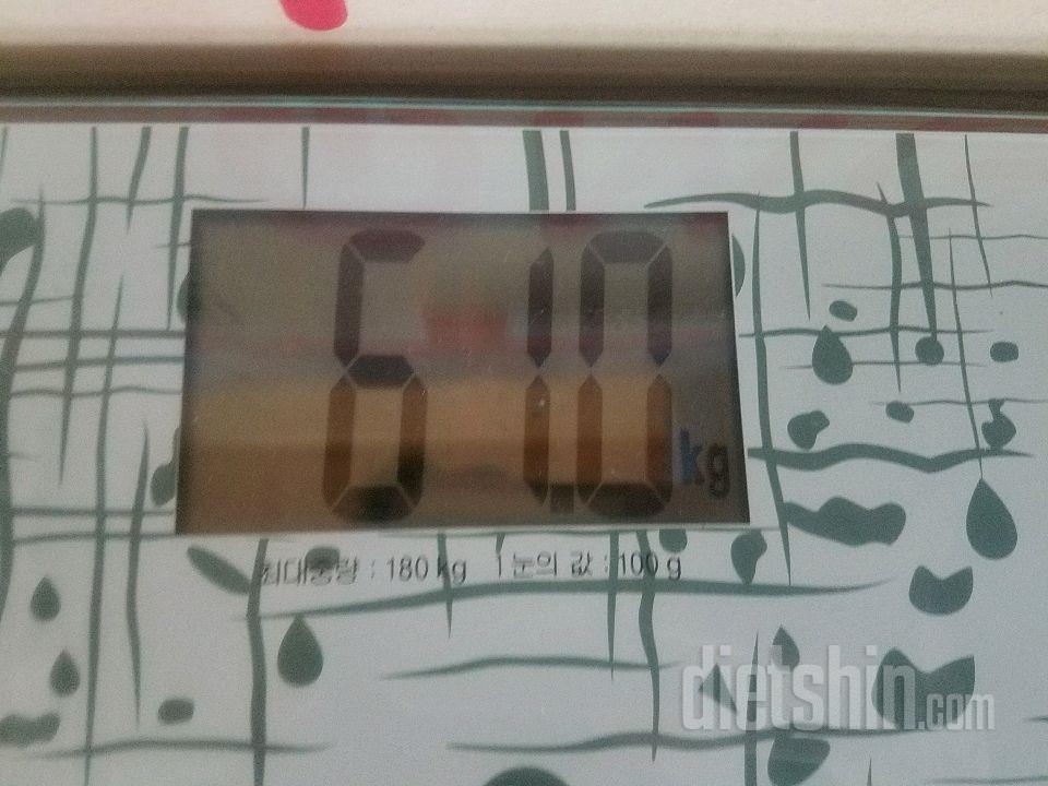 30일 밀가루 끊기 28일차 성공!