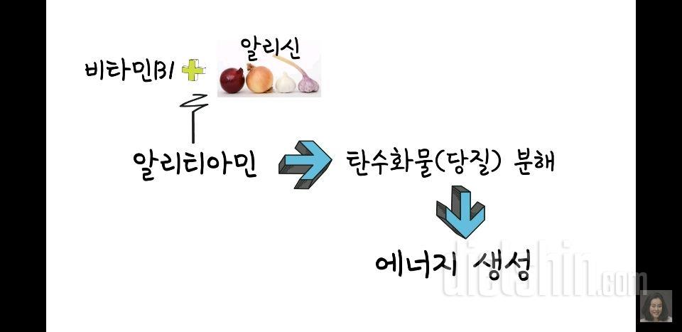 다이어트 연구 (8) 비타민B1