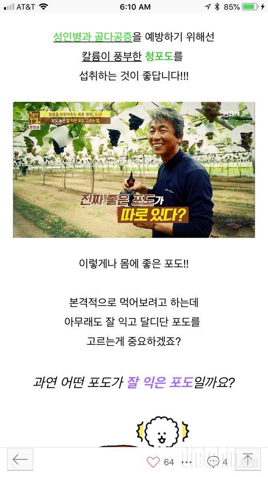 포도의 효능- 노화방지, 지방축적방지