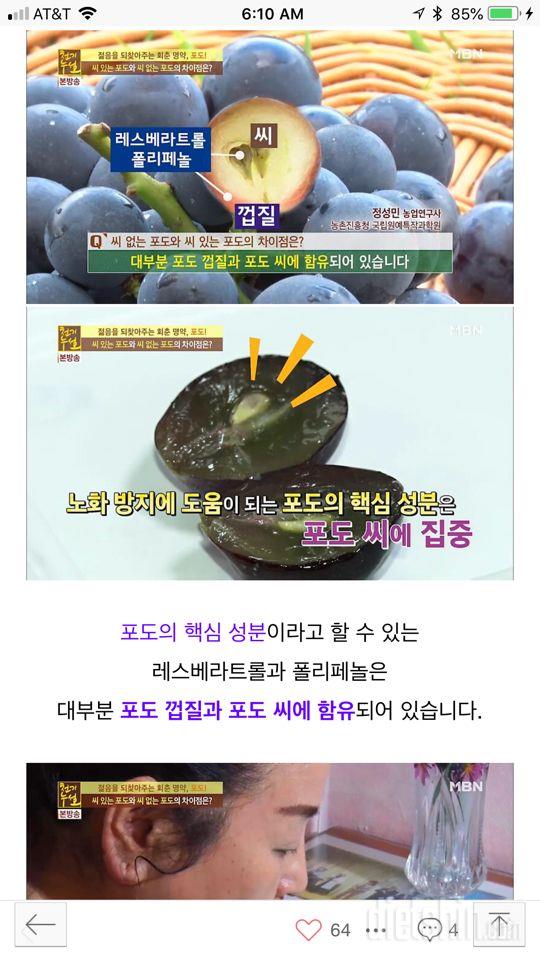 포도의 효능- 노화방지, 지방축적방지