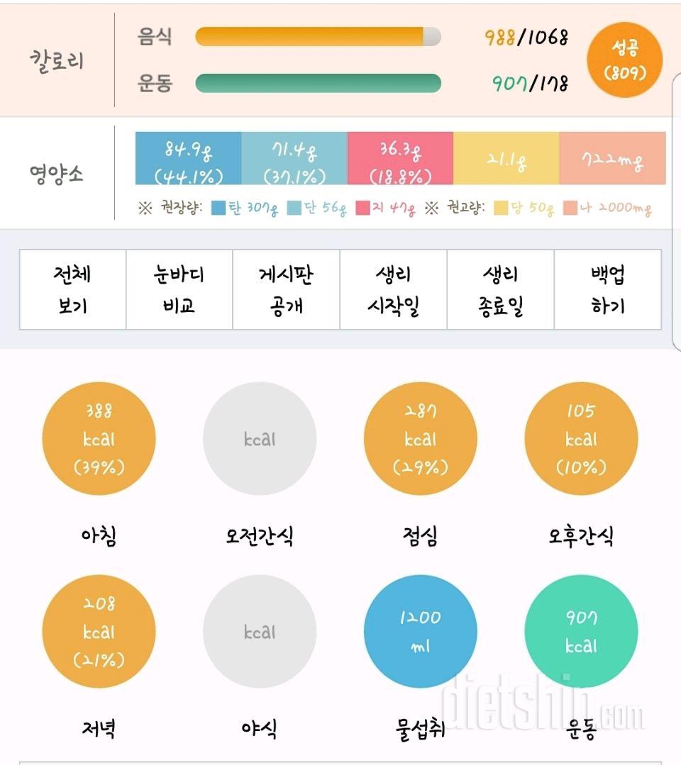 다이어트41일차