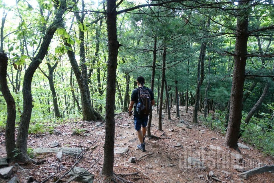 등산 후 폭식데이!! ㅠㅠ (103일차)