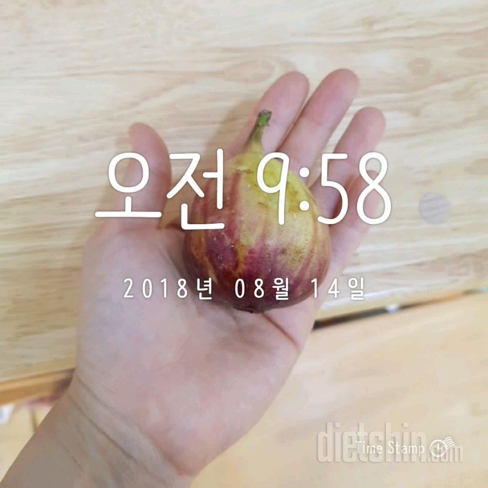 🐙8.14.마무리