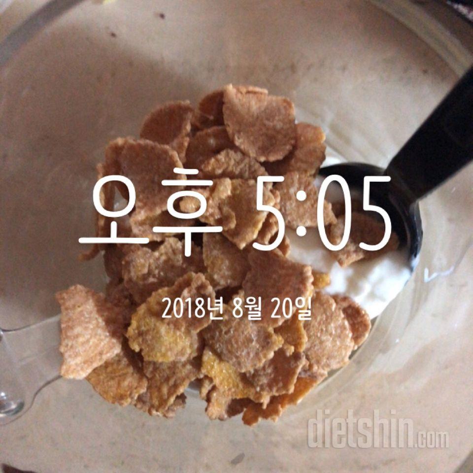 30일 야식끊기 3일차 성공!