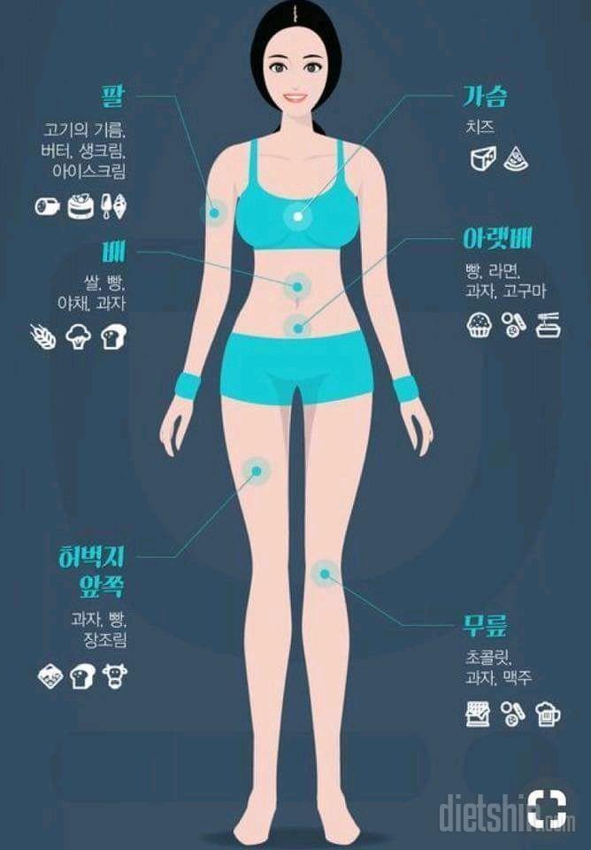 얼굴책에서 본 음식별 살찌는 부위