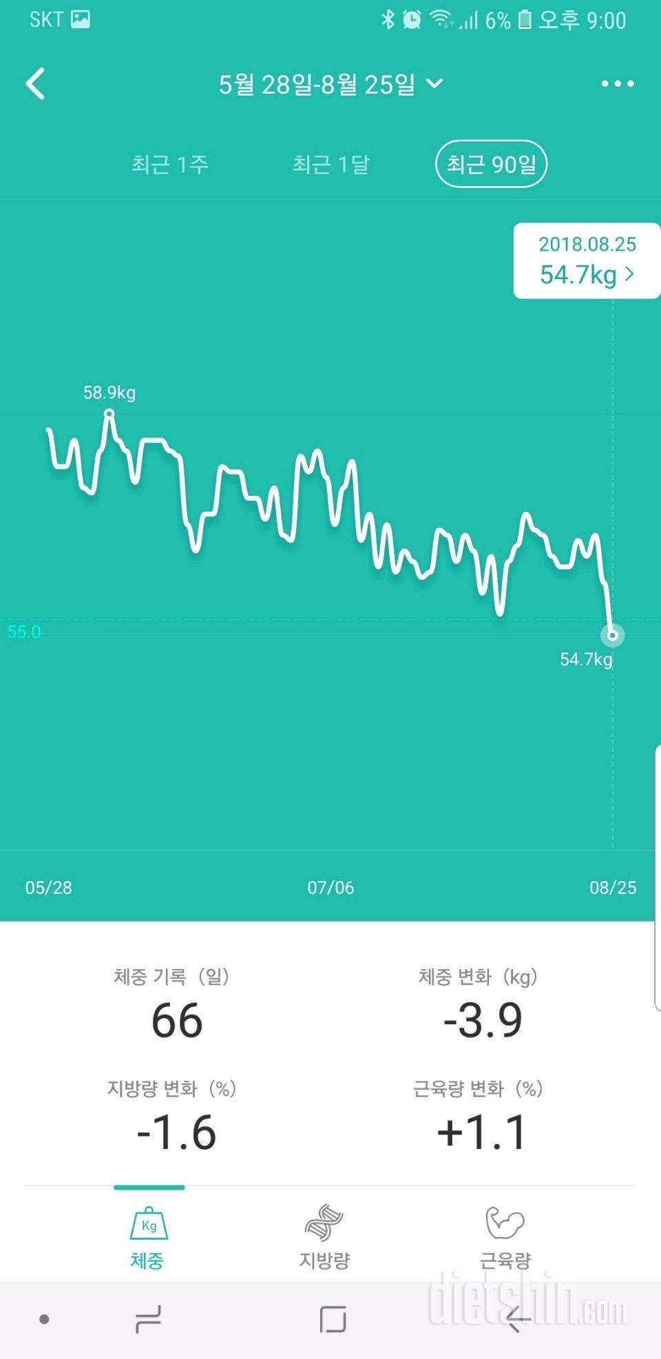 8월25일 토요일은 치팅데이