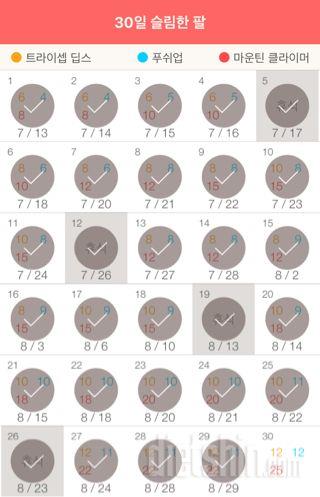 30일 슬림한 팔 29일차 성공!