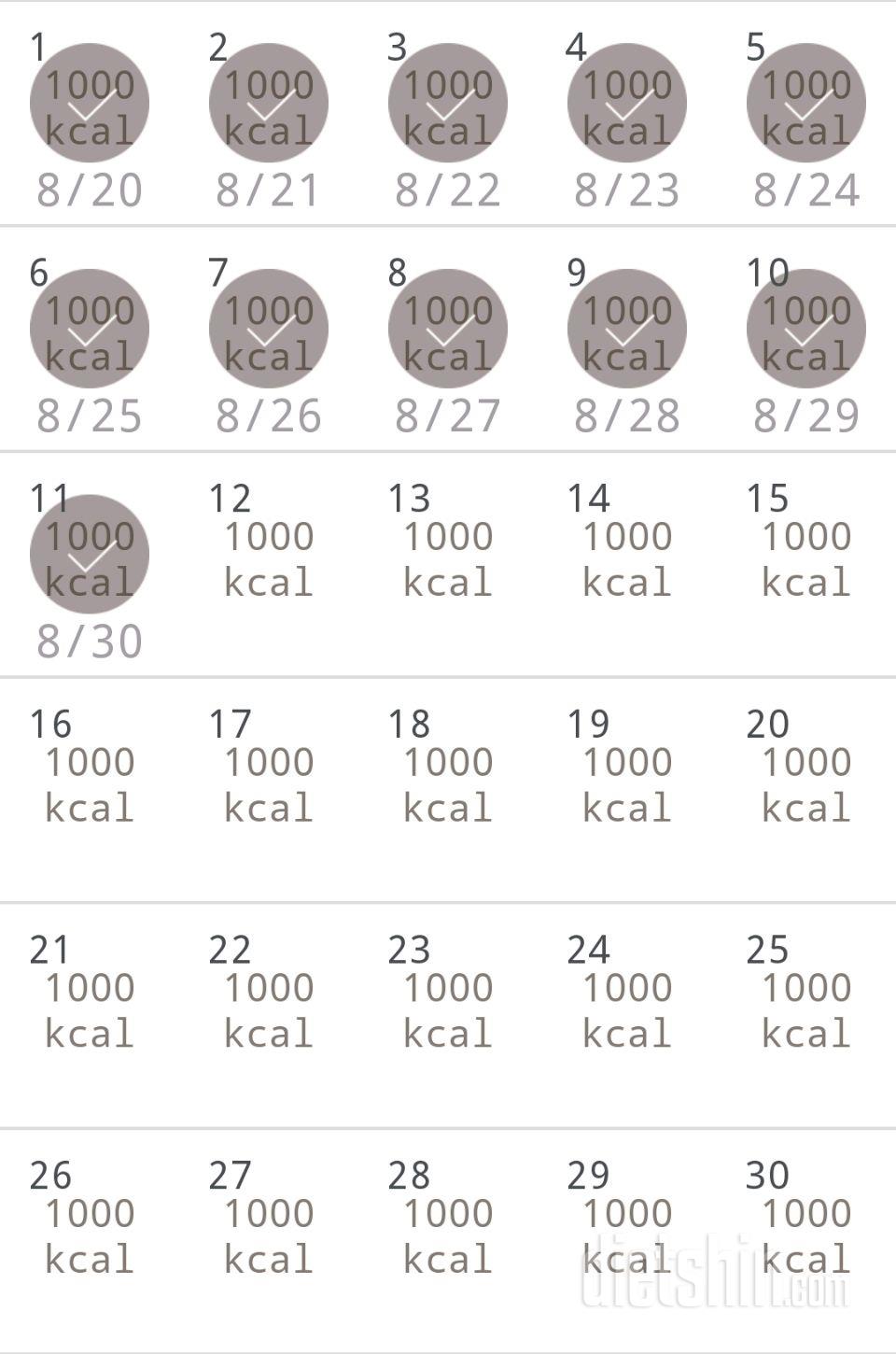 30일 1,000kcal 식단 41일차 성공!