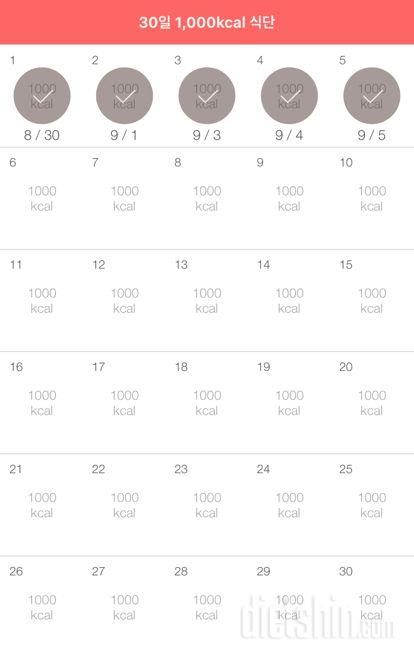 30일 1,000kcal 식단 5일차 성공!