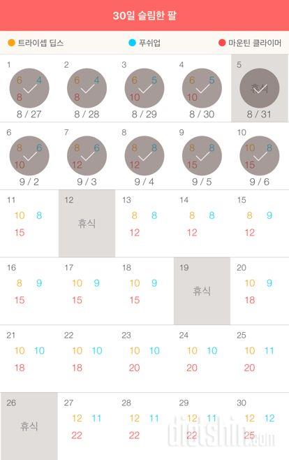 30일 슬림한 팔 40일차 성공!