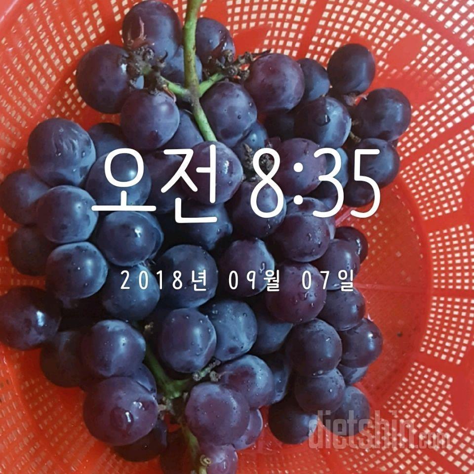 9/7 금 5일차