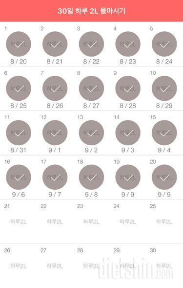 30일 하루 2L 물마시기 80일차 성공!