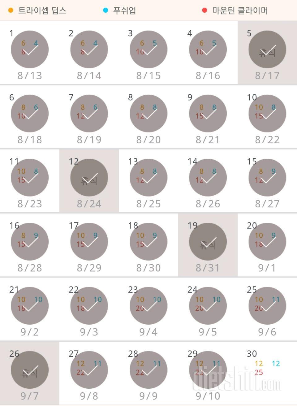 30일 슬림한 팔 269일차 성공!