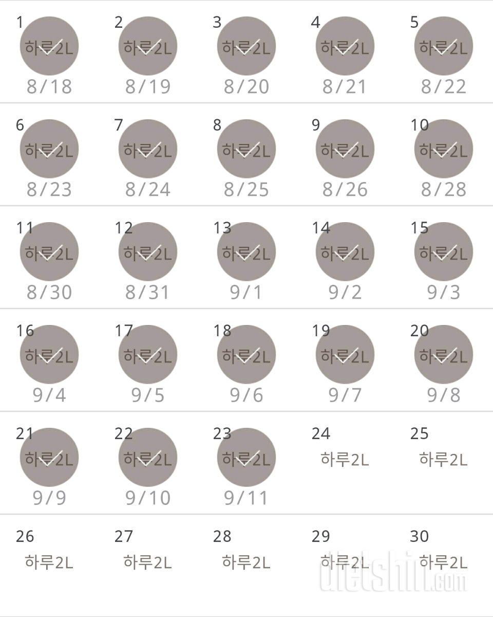 30일 하루 2L 물마시기 53일차 성공!