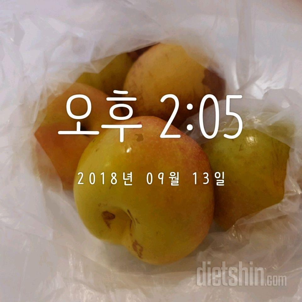 9/13 목 11일차